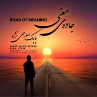 دانلود آهنگ بابک صلاحی نژاد جاده ی معنی